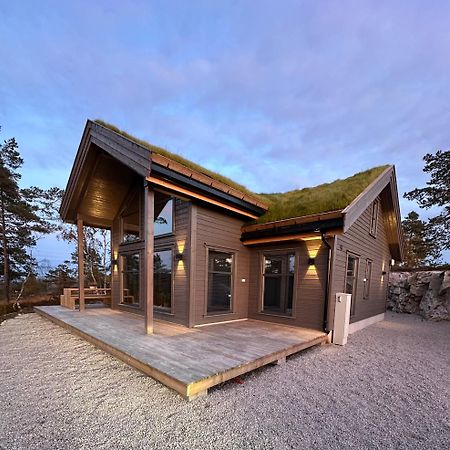 Modern Northern Lights Cabin Drangedal Ngoại thất bức ảnh