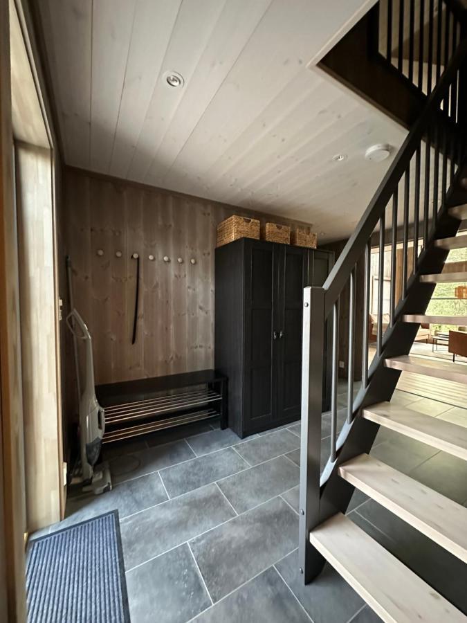 Modern Northern Lights Cabin Drangedal Ngoại thất bức ảnh