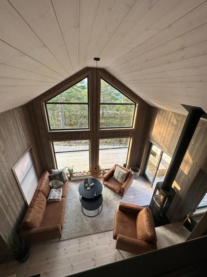 Modern Northern Lights Cabin Drangedal Ngoại thất bức ảnh