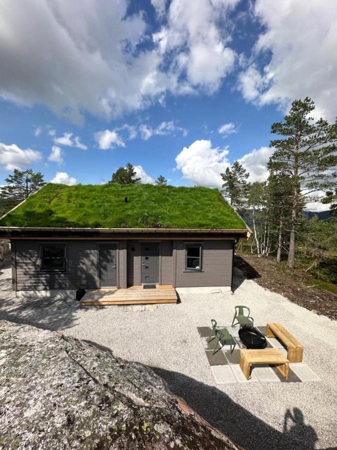 Modern Northern Lights Cabin Drangedal Ngoại thất bức ảnh