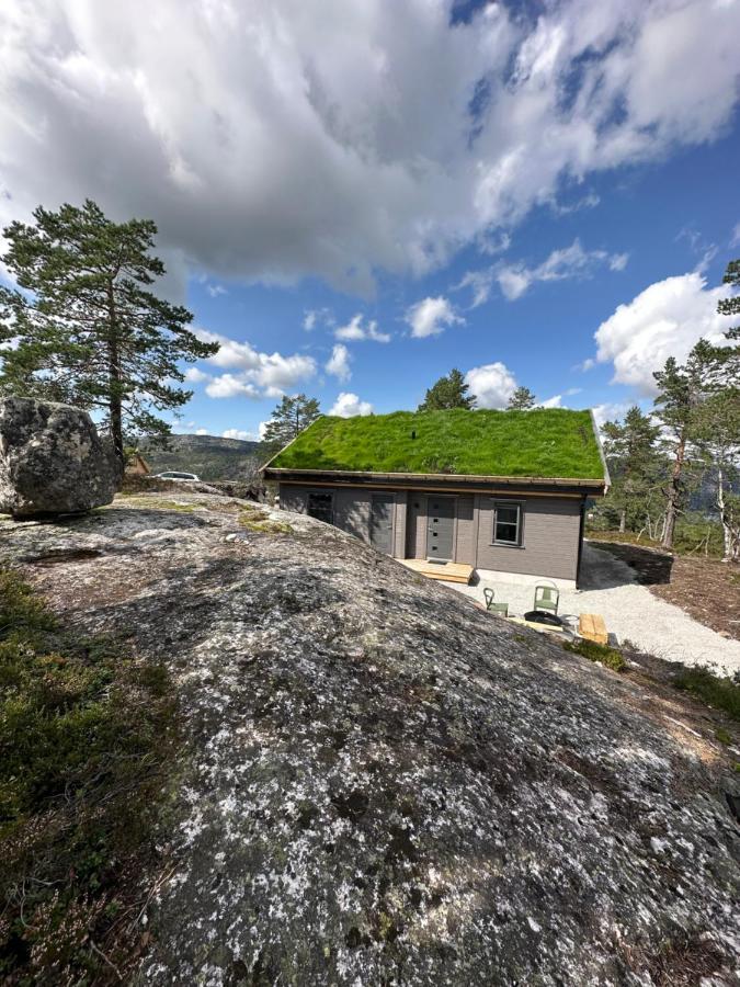 Modern Northern Lights Cabin Drangedal Ngoại thất bức ảnh