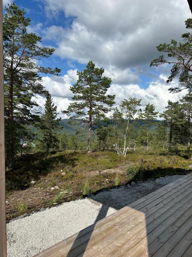 Modern Northern Lights Cabin Drangedal Ngoại thất bức ảnh