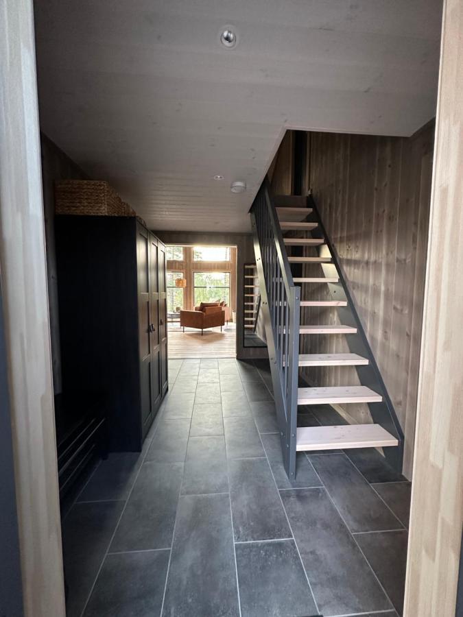 Modern Northern Lights Cabin Drangedal Ngoại thất bức ảnh