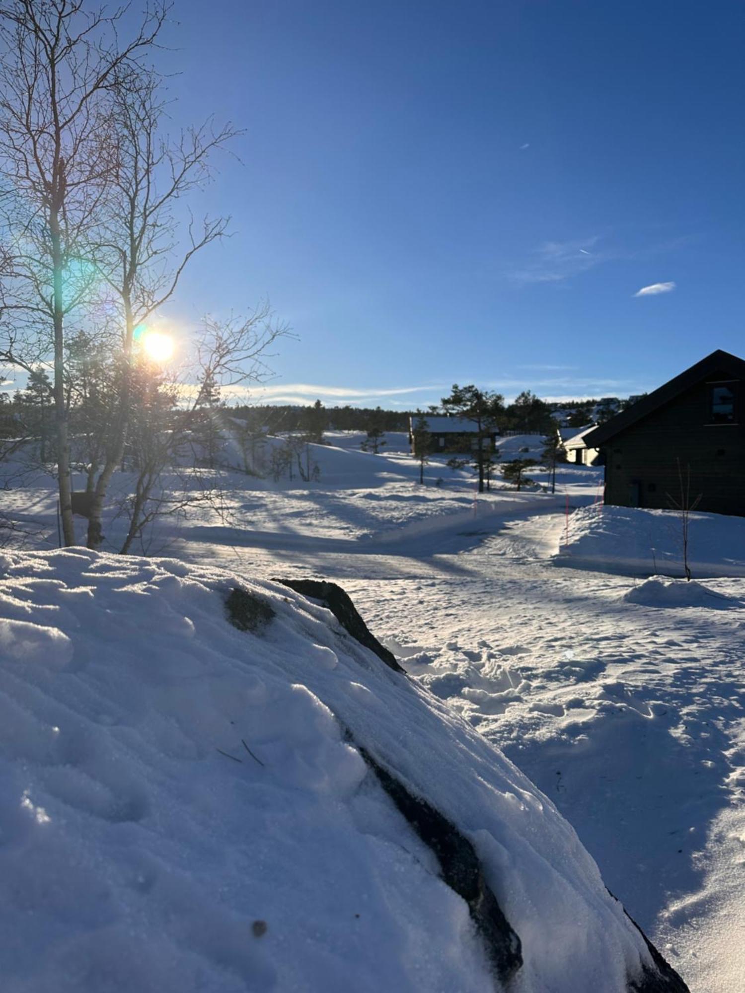Modern Northern Lights Cabin Drangedal Ngoại thất bức ảnh