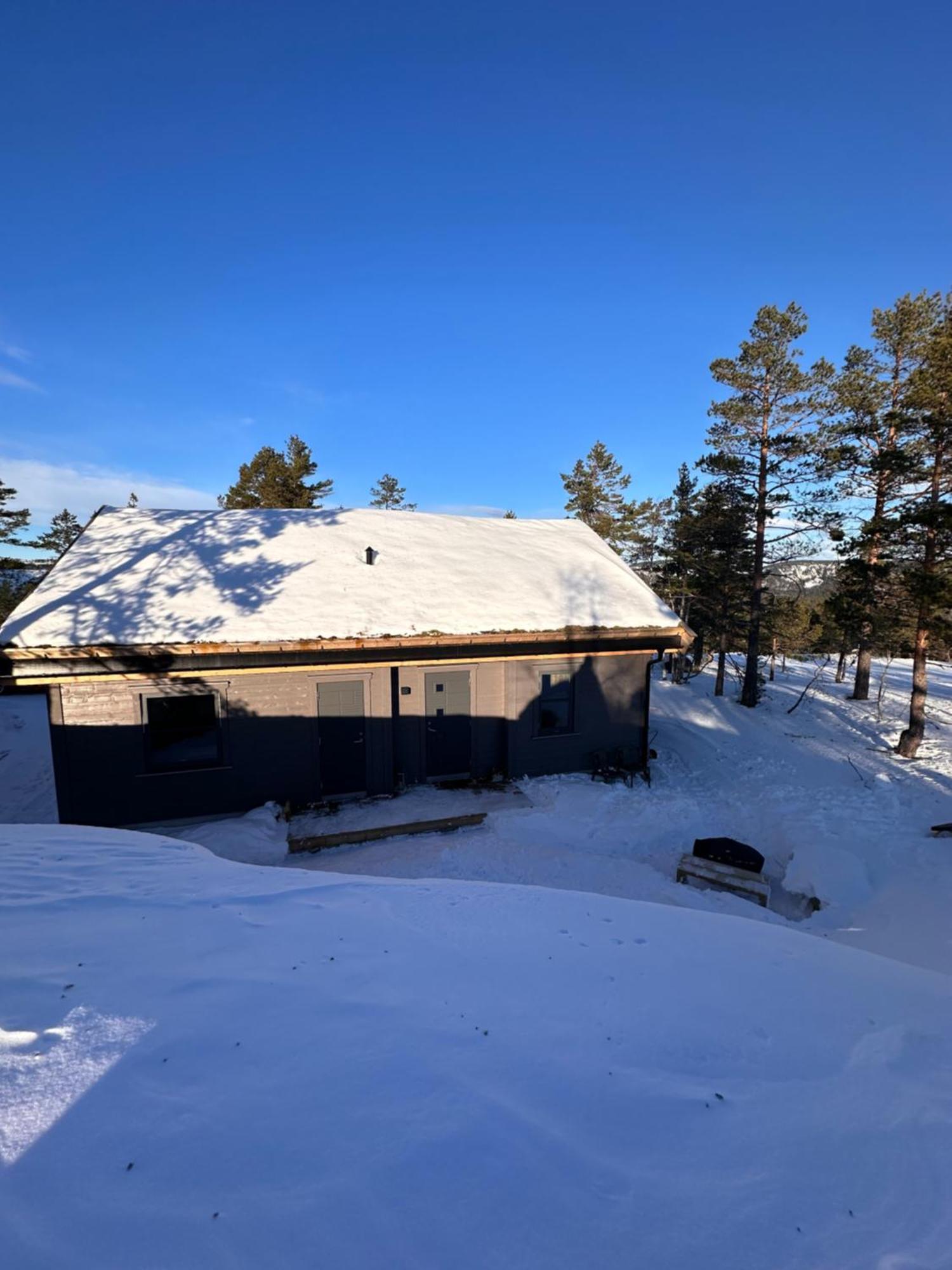 Modern Northern Lights Cabin Drangedal Ngoại thất bức ảnh
