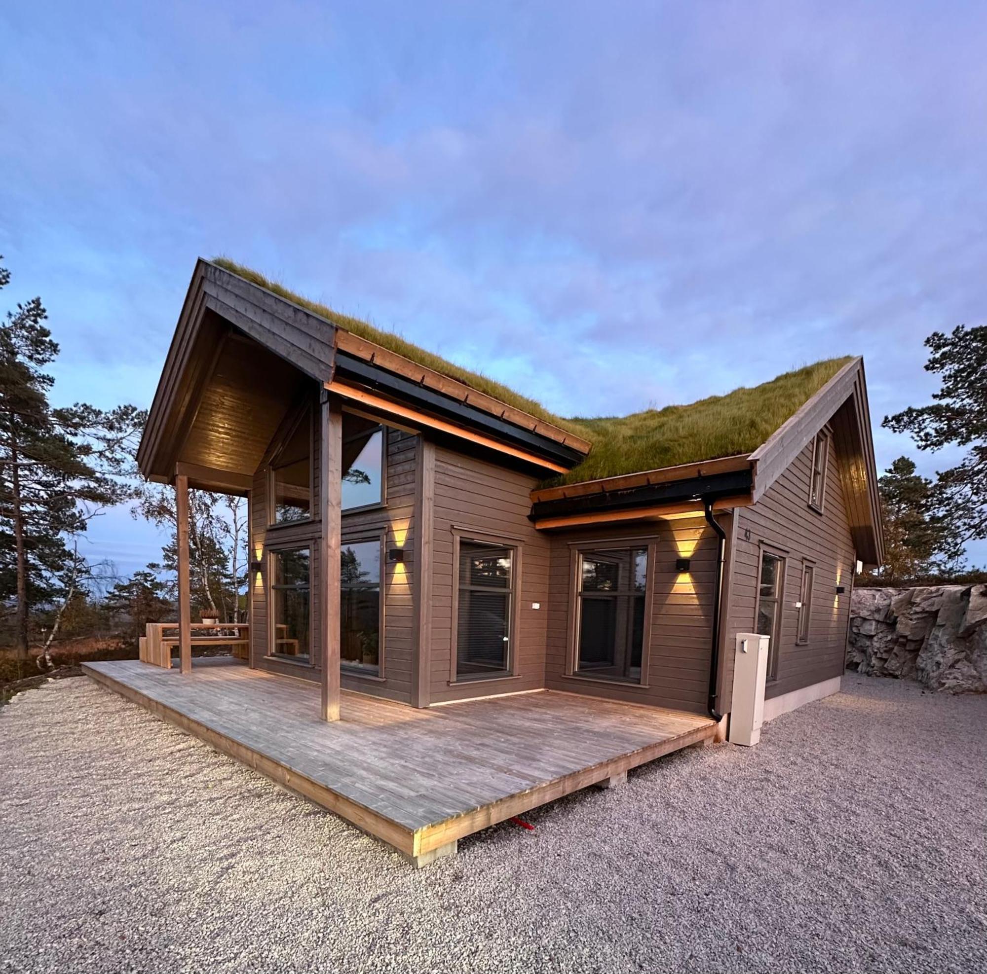 Modern Northern Lights Cabin Drangedal Ngoại thất bức ảnh