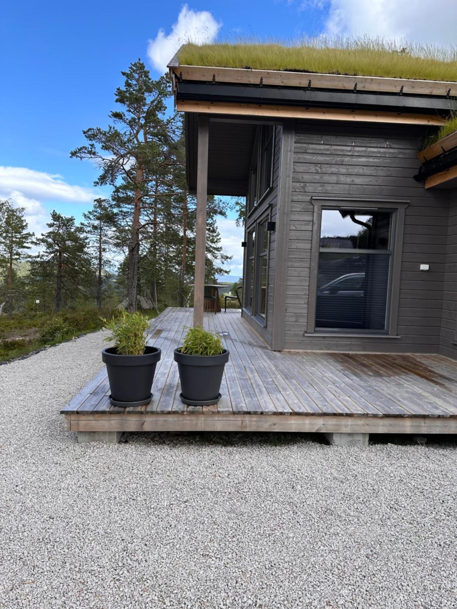 Modern Northern Lights Cabin Drangedal Ngoại thất bức ảnh