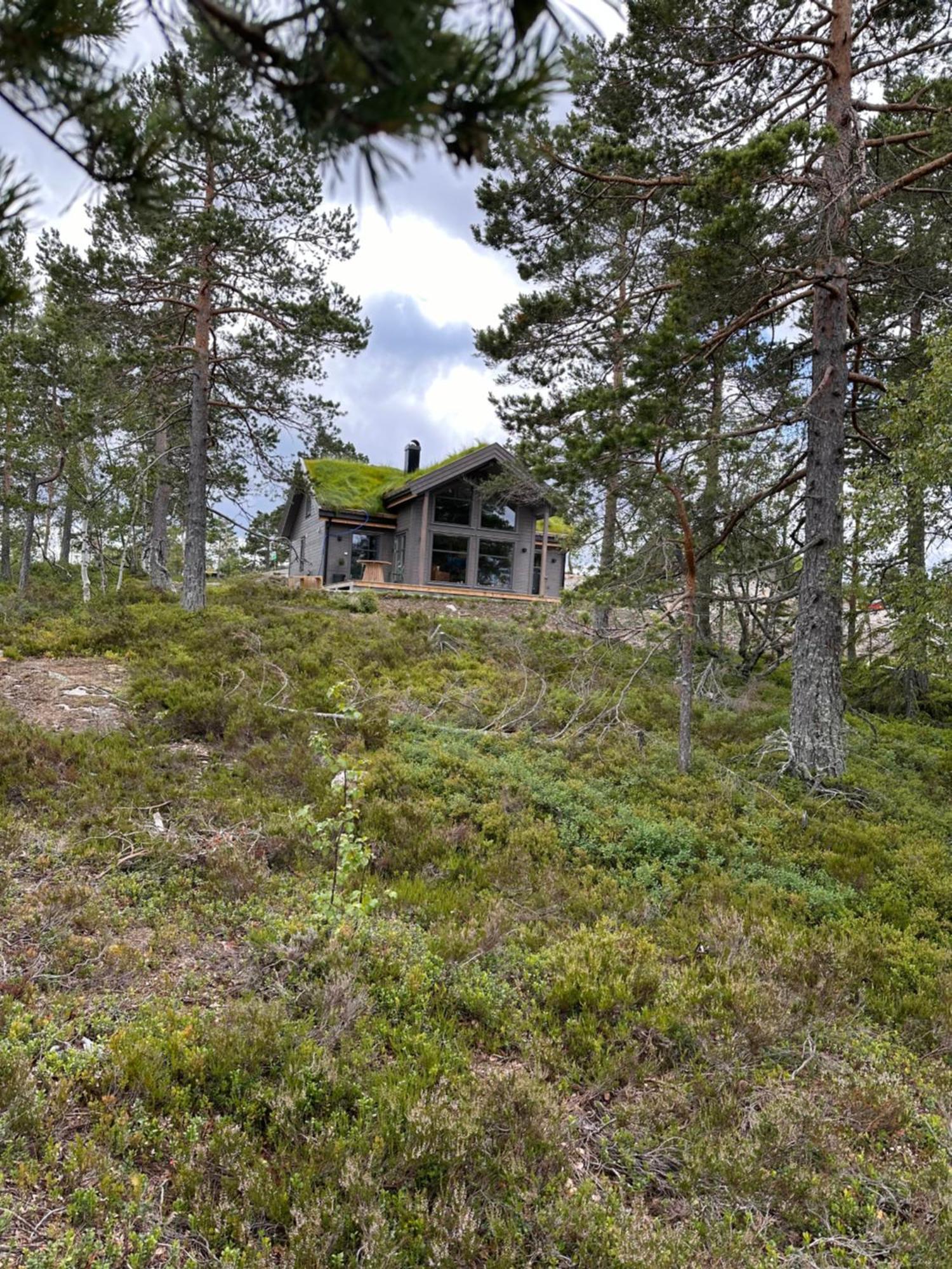 Modern Northern Lights Cabin Drangedal Ngoại thất bức ảnh