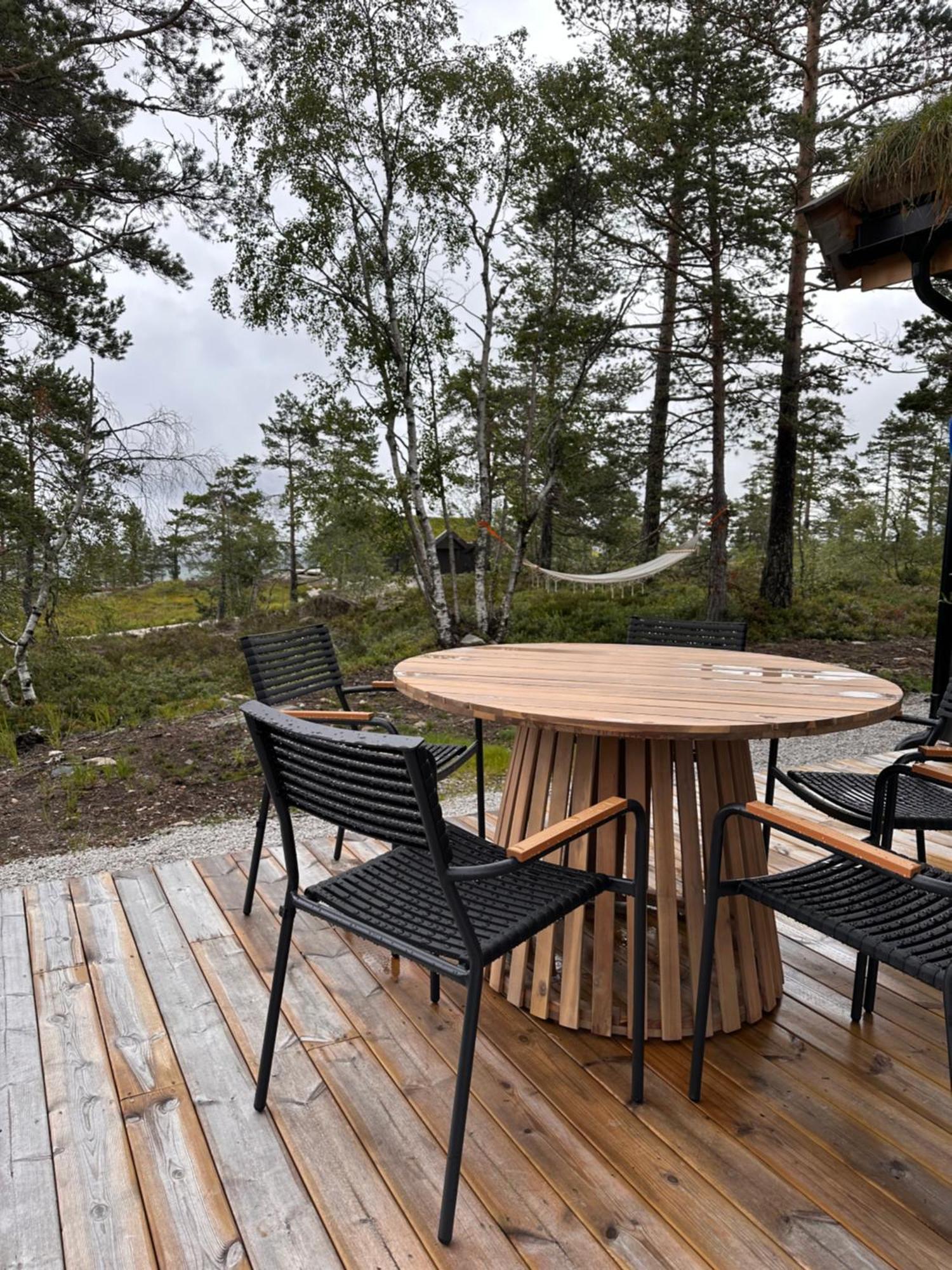 Modern Northern Lights Cabin Drangedal Ngoại thất bức ảnh