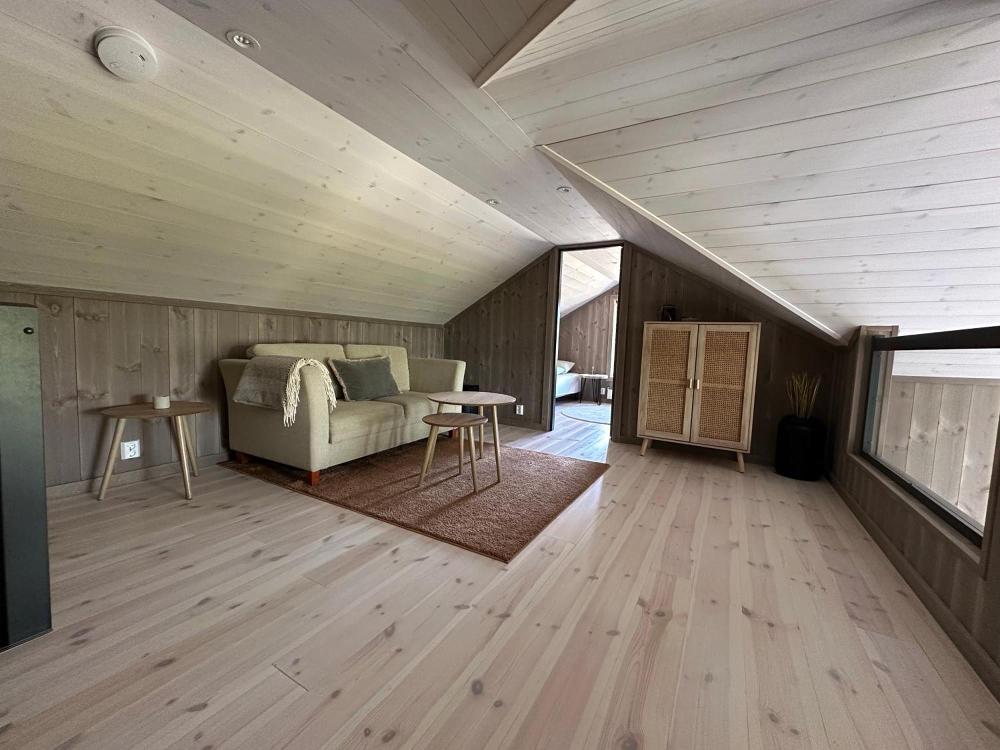 Modern Northern Lights Cabin Drangedal Ngoại thất bức ảnh