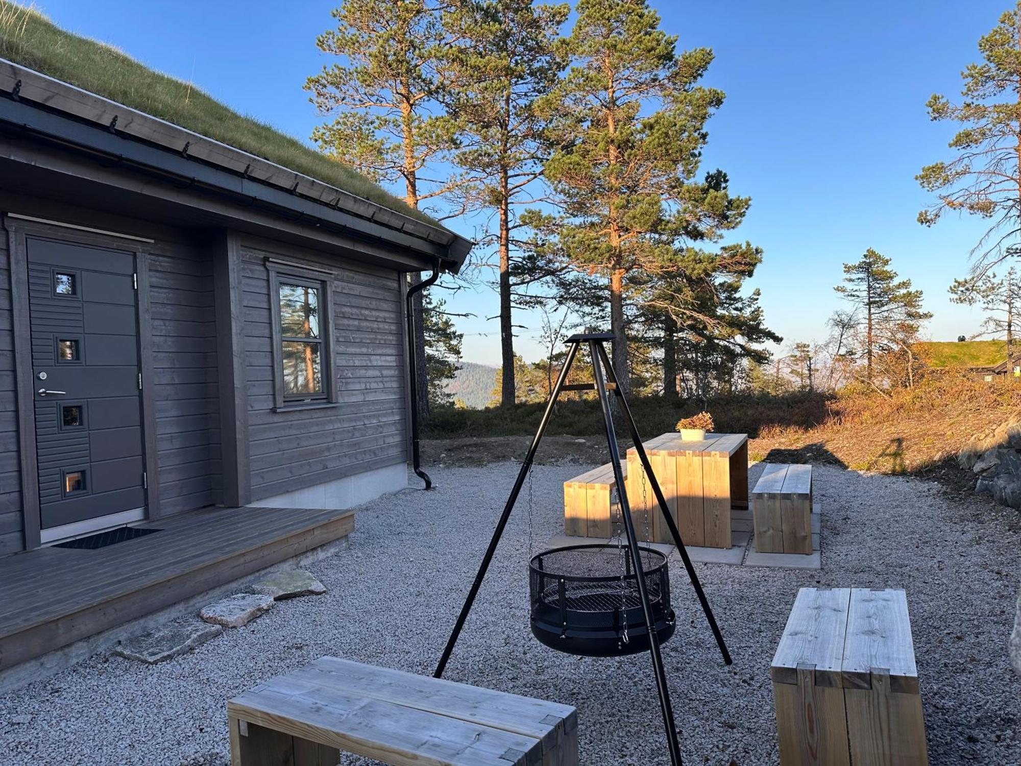 Modern Northern Lights Cabin Drangedal Ngoại thất bức ảnh