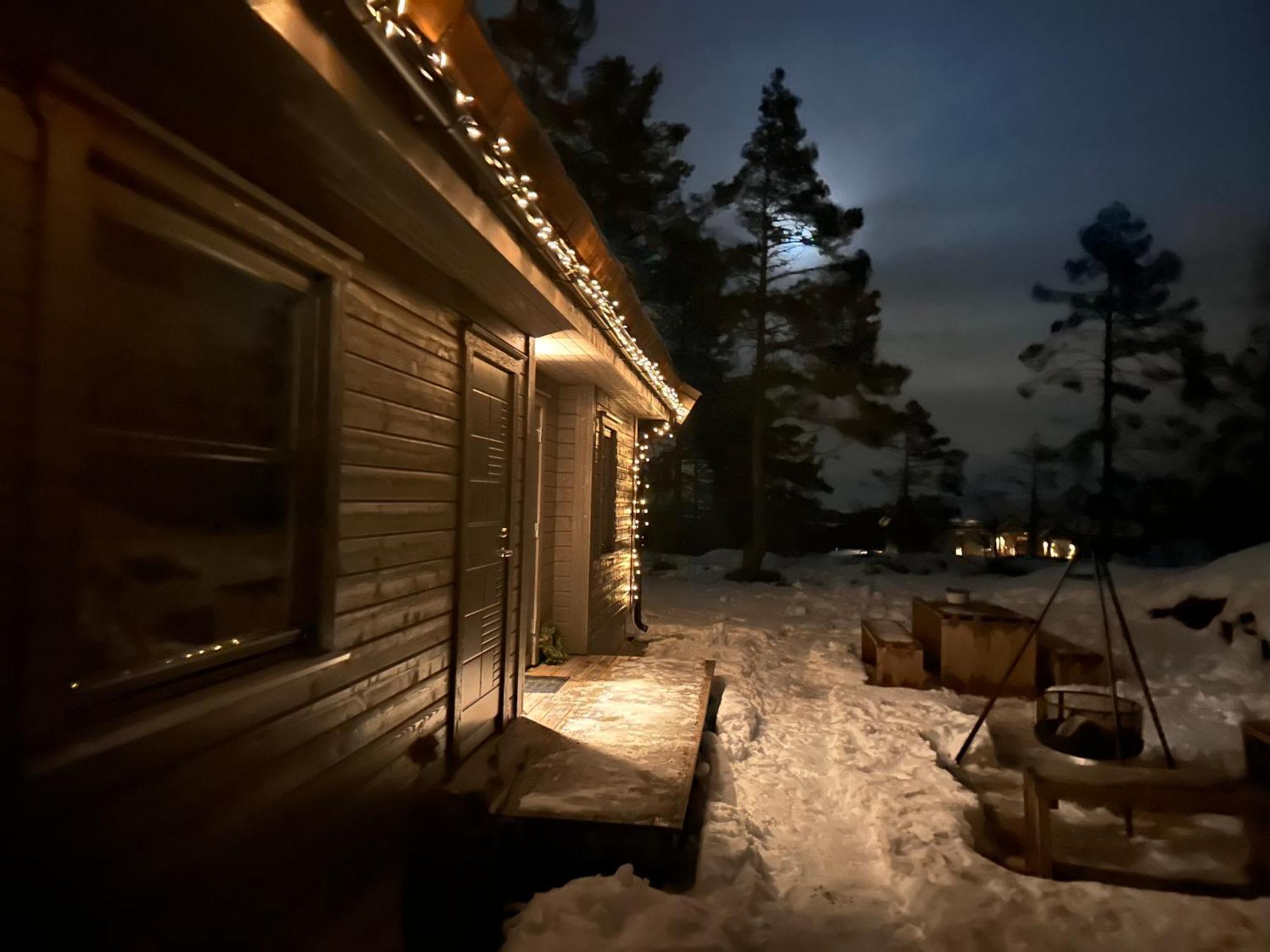 Modern Northern Lights Cabin Drangedal Ngoại thất bức ảnh