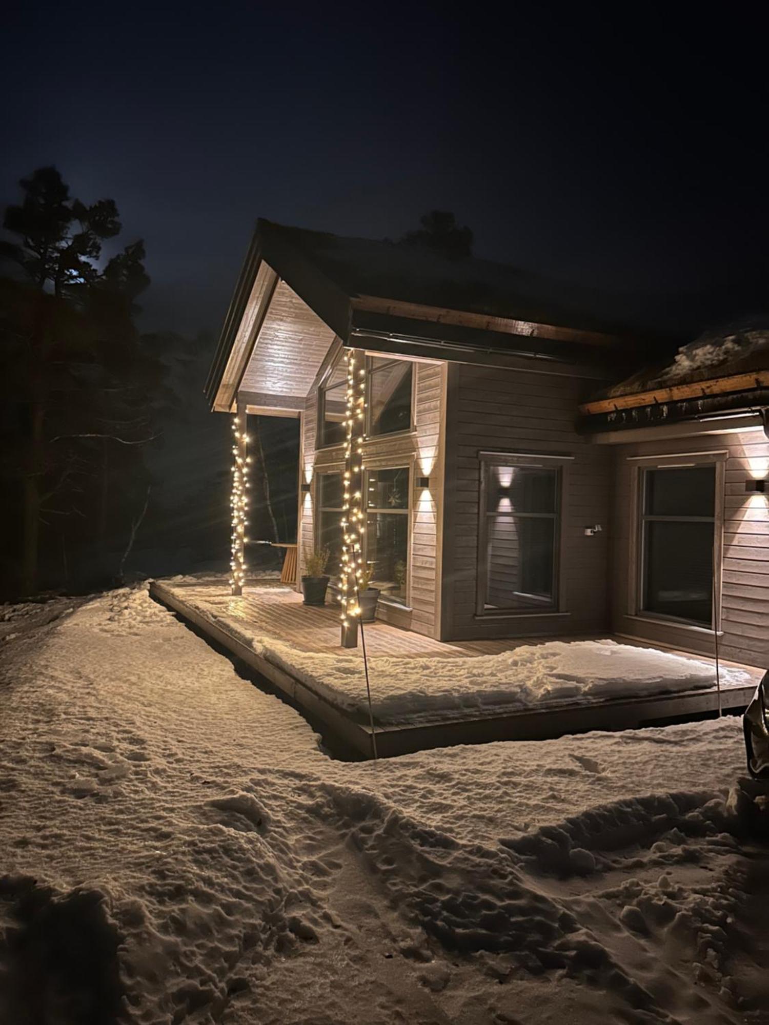 Modern Northern Lights Cabin Drangedal Ngoại thất bức ảnh