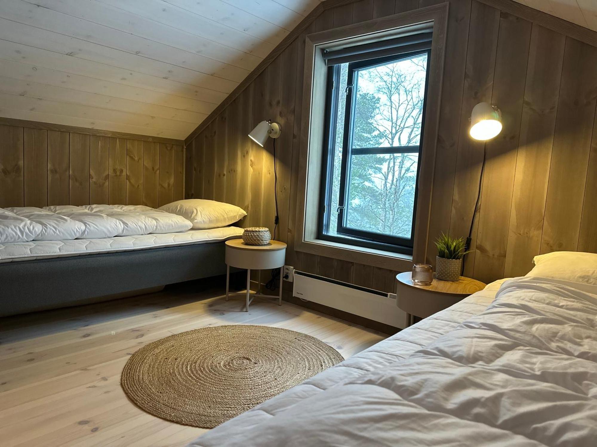 Modern Northern Lights Cabin Drangedal Ngoại thất bức ảnh